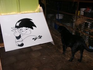 bouwe 2005-21.jpg